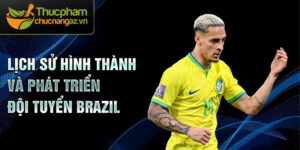Lịch sử hình thành và phát triển đội tuyển brazil