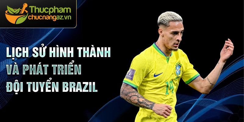 Lịch sử hình thành và phát triển Đội tuyển Brazil