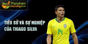 Tiểu sử và sự nghiệp của thiago silva