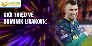 Giới thiệu về Dominik Livaković