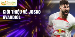 Giới thiệu về Josko Gvardiol