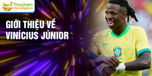 Giới thiệu về Vinícius Júnior