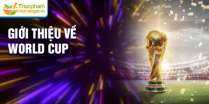 Giới thiệu về World Cup