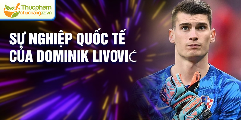 Sự nghiệp quốc tế của Dominik Livović