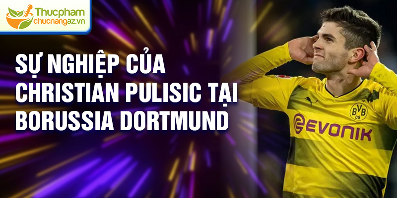 Sự nghiệp của Christian Pulisic tại Borussia Dortmund